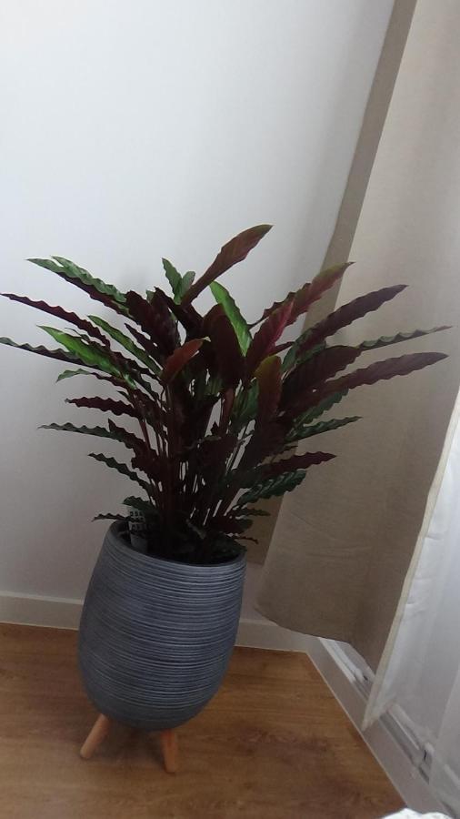 Apartament Jeziorna 11a Kartuzy Esterno foto